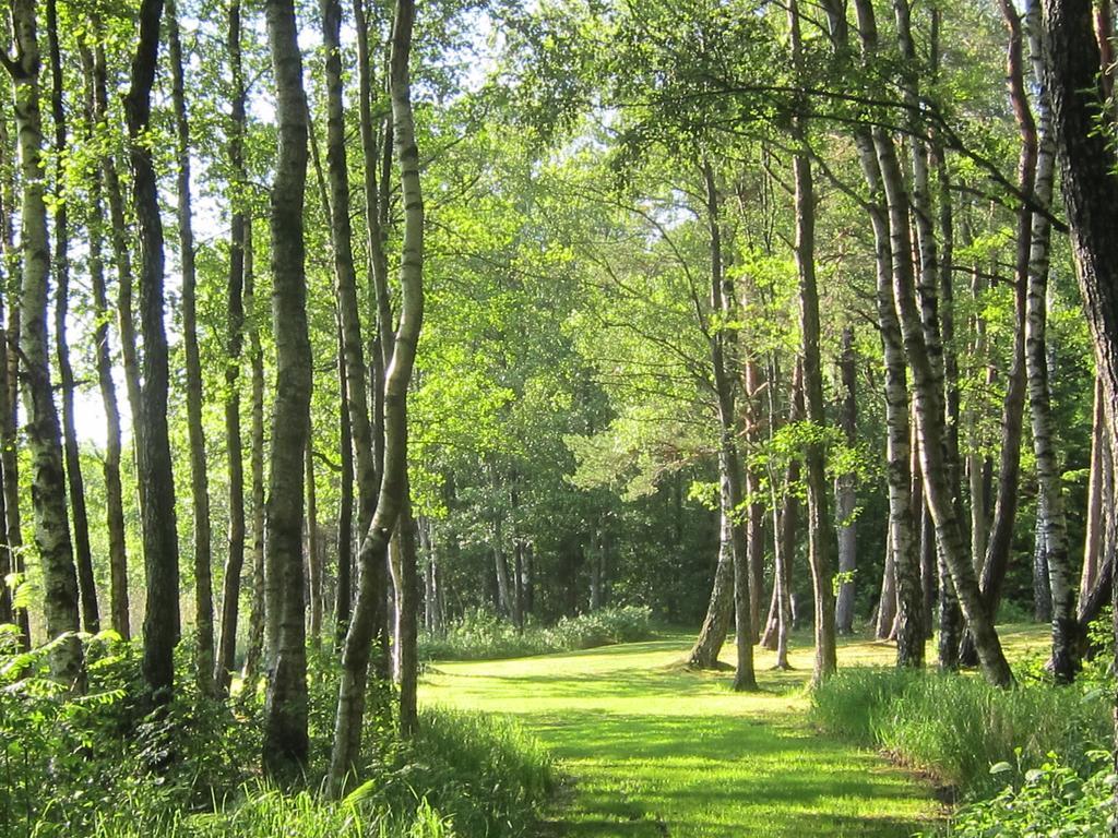 Sikhall Camping Sörbo Εξωτερικό φωτογραφία